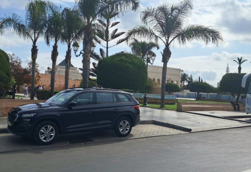 Voiture garée près des palmiers